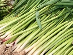 -重振华中蔬菜批发市场(重庆中路店)