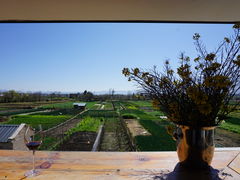 景观位-翠田Green Field Kitchen