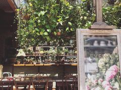 -The Grounds of Alexandria