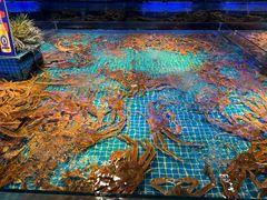 -驻海渔市(置信店)