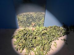 -武汉美术馆(汉口馆)