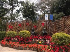 -广州市流溪河国家森林公园