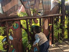 -呀路古热带植物园