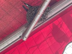 -伊隆斋(什刹海店)