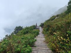 -白草畔自然风景区