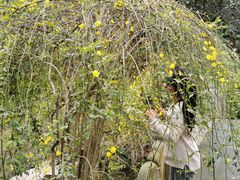 -杭州半山国家森林公园