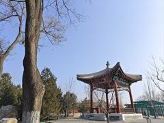 -西海子公园