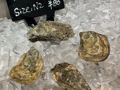 -Oyster Talks 四度蚝法餐厅