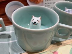 -猫的天空之城概念书店(束河店)