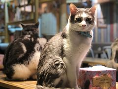 -小时光咖啡馆(开森度假森林店)