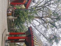 -丰都鬼城名山景区