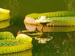 -国家植物园南园