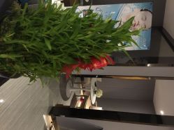 点击看大图 唯伊美专业女子瘦身连锁机构(徐汇店)-唯伊美塑身美养连锁