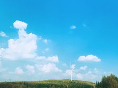 -御道口草原森林风景区
