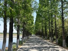 -嘉北郊野公园