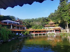 -深圳仙湖植物园