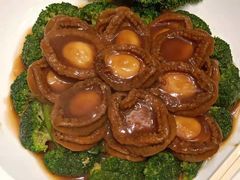 鲍汁鲍鱼-北海渔村酒楼·粤菜海鲜点心(新华店)