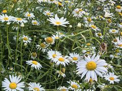 -烟水渔庄餐厅(西溪湿地店)