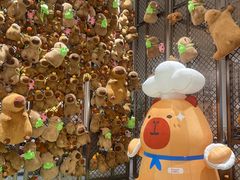 -韶关风度华美达广场酒店自助餐厅