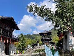 -大唐贡茶院