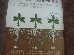 -中国农业博物馆