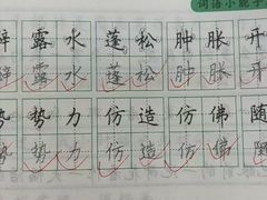 -赵汝飞练字硬笔书法(博泰国际校区)