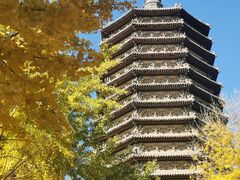 -玲珑塔公园