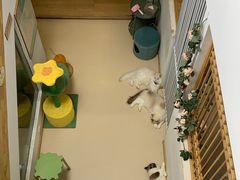 -猫在这儿猫咪咖啡馆·撸猫馆