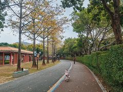 -顺峰山公园