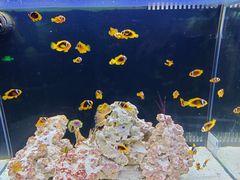 -沈阳海洋探索中心