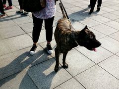 android_upload_pic-东浩兰生上海世博展览馆