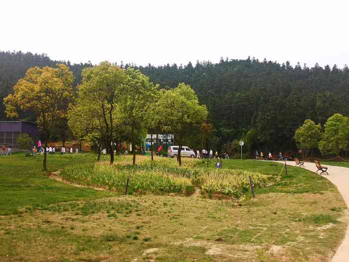 先锋小镇-"听说有花展,所以浩浩荡荡和家人一起开车去.