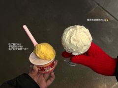 -红楼HONGLOU Gelato(淮海中路店)
