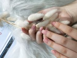 -潮店·虞妃妮轻奢美甲美睫馆
