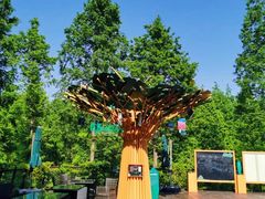 -黄海国家森林公园