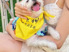 -中粮·祥云小镇