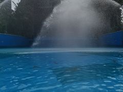 -亚马逊丛林水乐园