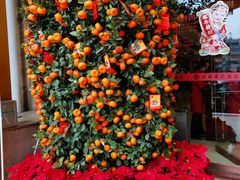 -黄埔华苑酒家(黄埔店)