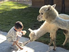 -南戴河国际娱乐中心