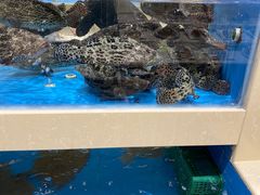 -双井轩(双井店)