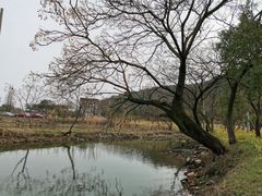 -南北湖风景区