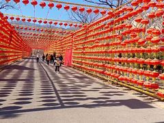 -北京凤凰岭