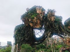 -奥兰多迪士尼动物王国乐园