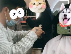 -和木形象