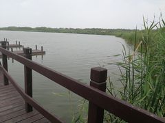 -西青郊野公园