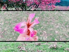 -风云岭森林公园