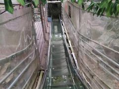 -南丹山森林王国