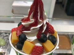 -Salud撒露欧洲冻酸奶(蓝色港湾店)