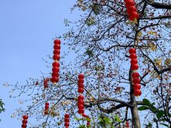 -晓港公园