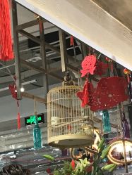 -木北护肤造型